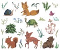 Collection of forest animals, mushroom, plant, flowers, berry, cones. Decorative elements in watercolor style for greeting card, i